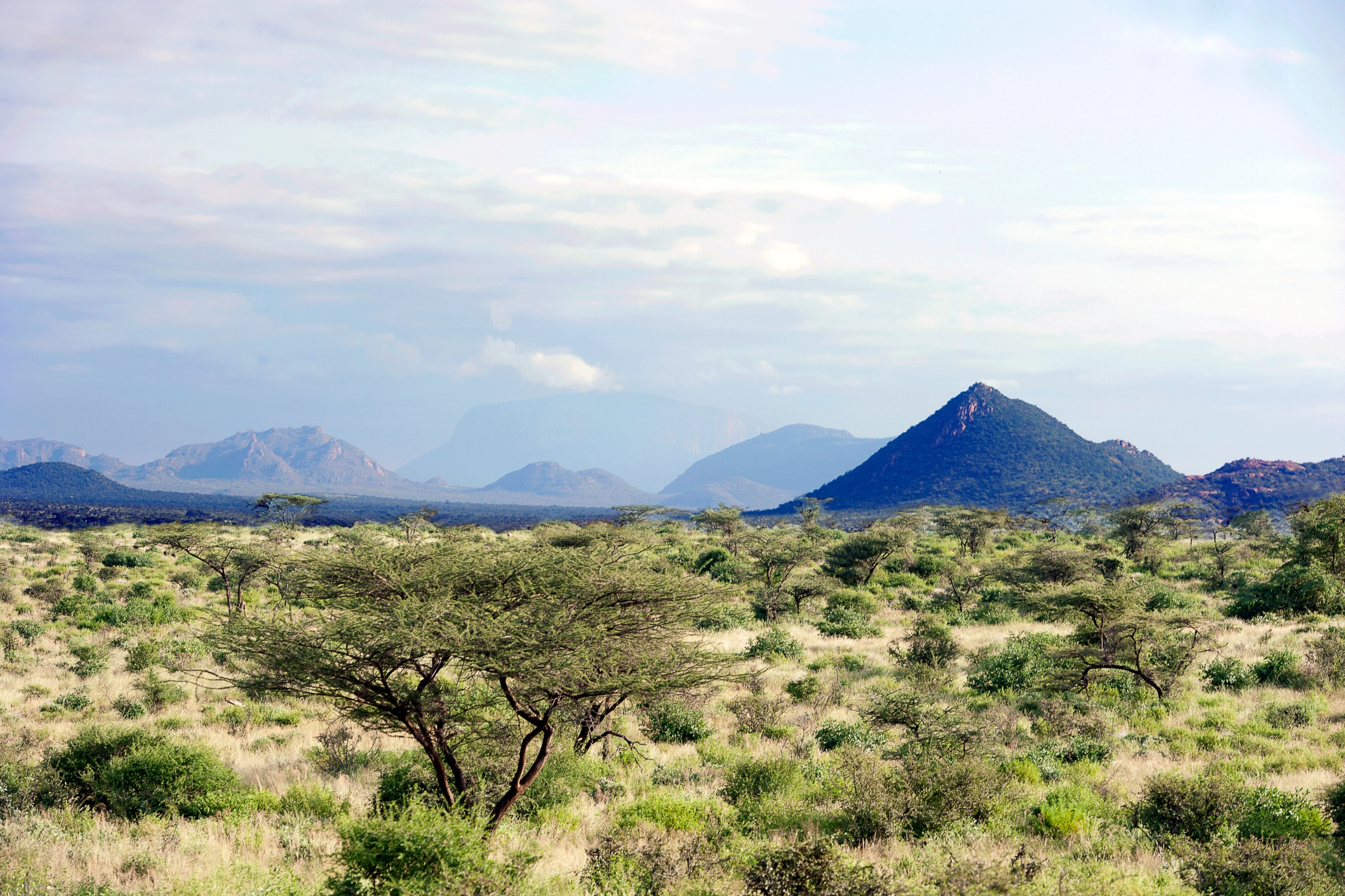 Samburu[1].webp
